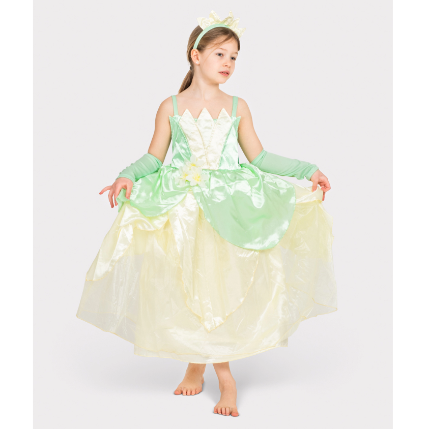 princess and the frog