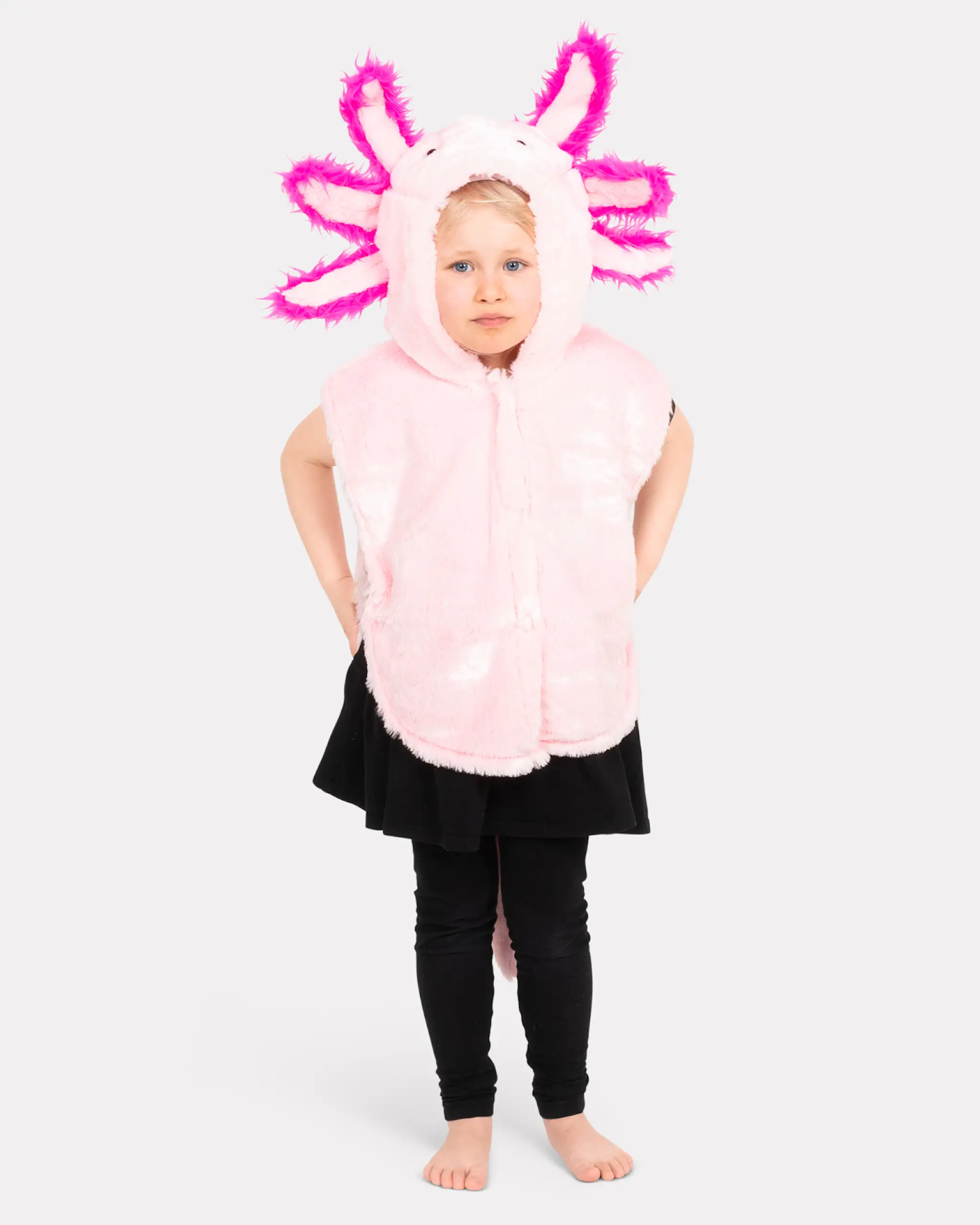 daf55362-6680-489c-9bb5-ed851f66a42f