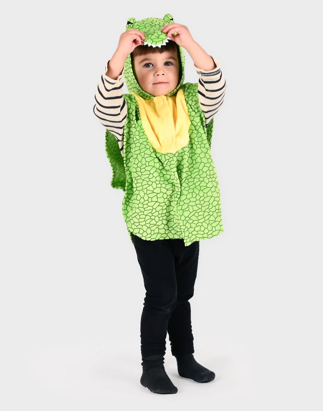 dinosaur_front_1100x1400